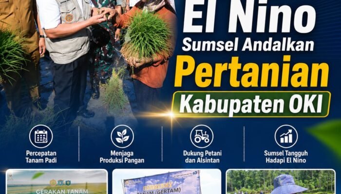 Hadapi Ancaman El Nino Sumsel Andalkan Pertanian Kabupaten OKI