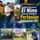 Hadapi Ancaman El Nino Sumsel Andalkan Pertanian Kabupaten OKI