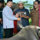 Pemkab Muba Salurkan Hewan Kurban untuk Masjid, Ponpes hingga Disabilitas