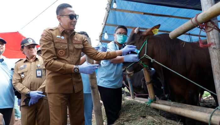 Jelang Idul Adha, Walikota Malang Tinjau Tempat Penjualan Hewan Kurban