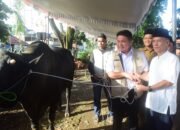 Herman Deru Titip Pesan Kepedulian Saat Serahkan Sapi Kurban 1,3 Ton untuk Masjid Agung Palembang