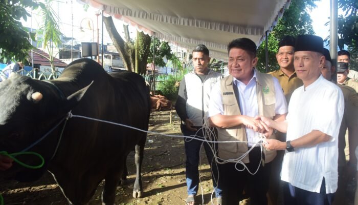 Herman Deru Titip Pesan Kepedulian Saat Serahkan Sapi Kurban 1,3 Ton untuk Masjid Agung Palembang
