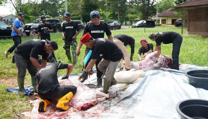 Pertamina Patra Niaga Regional Sumbagsel Salurkan 56 Sapi dan 29 Kambing pada Iduladha 1447 H