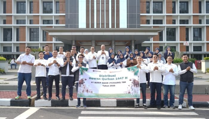 Tebar Kebahagiaan Idul Adha, PTBA Salurkan 300 Hewan Kurban di Berbagai Wilayah Operasional