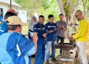 Lewat Budidaya Lebah Kelulut, Pertamina Patra Niaga Hadirkan Peluang Usaha Ramah Lingkungan