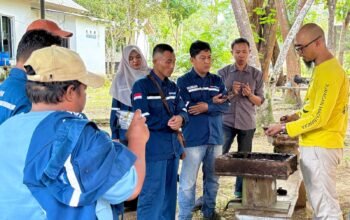 Lewat Budidaya Lebah Kelulut, Pertamina Patra Niaga Hadirkan Peluang Usaha Ramah Lingkungan