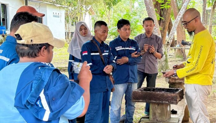 Lewat Budidaya Lebah Kelulut, Pertamina Patra Niaga Hadirkan Peluang Usaha Ramah Lingkungan