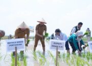 Bupati Ogan Ilir Pimpin Gerakan Tanam Padi Menyongsong Tantangan Iklim El Nino Nasional