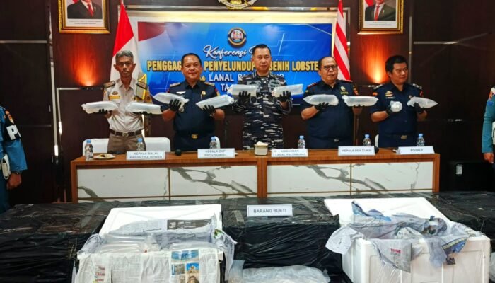 Lanal Palembang Bongkar Penyelundupan Benih Lobster Senilai Rp8 Miliar