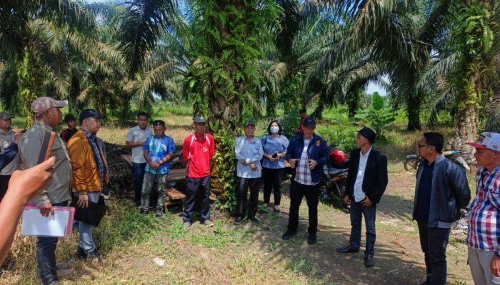 Pastikan Dugaan Pengerusakan Lahan Petani, Polda Sumsel Tinjau Lokasi