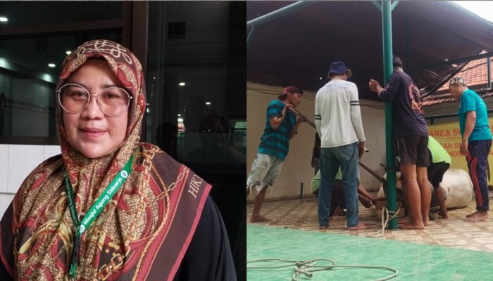 Sambut Idul Adha 1447 H, Masjid Agung Sidoarjo Bagikan Daging Kurban dari 9 Sapi Limousin dan 4 Kambing