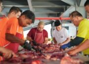 PLN UID S2JB Tebar Kepedulian Lewat Qurban
