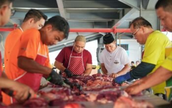 PLN UID S2JB Tebar Kepedulian Lewat Qurban