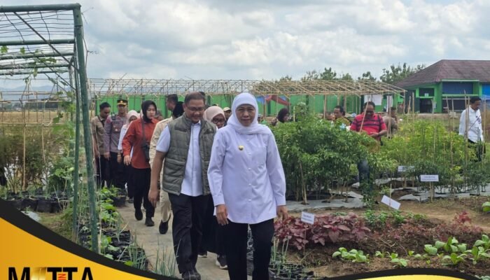 Gubernur Khofifah Resmikan Revitalisasi 48 Sekolah di Tulungagung, Dorong Pendidikan Vokasi dan Ketahanan Pangan