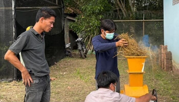 Merajut Harapan dari Limbah Jerami, Petani Pengabuan Tingkatkan Penghasilan Lewat Produk Ramah Lingkungan