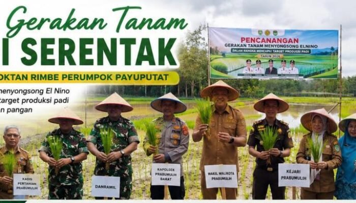 Gerakan Tanam Padi di Payuputat, Wawako Franky: Optimistis Perkuat Ketahanan Pangan Prabumulih