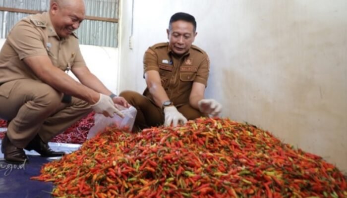 Harga Cabai Melonjak, Wali Kota Malang Aktifkan Kembali Warung Tekan Inflasi