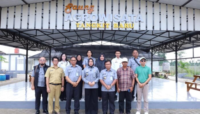 Kanwil Kemenkum Jambi Awasi Indikasi Geografis Nanas Tangkit, Dorong Desa Tangkit Baru Jadi Destinasi IG Tourism