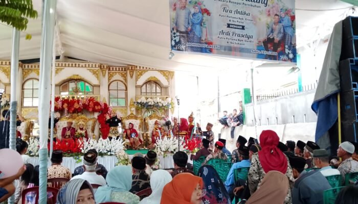 Kado Istimewa dari Pagar Nusa PALI: Seni Pencak Silat Meriahkan Resepsi Fira & Ardi di Talang Ojan