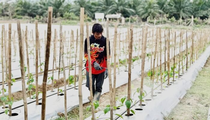 Perjuangan Rozzaq Jadi Kisah Inspiratif di Tengah Penyintas Banjir Sumatera