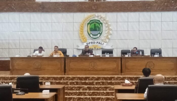 Kelangkaan LPG 3 Kg Terungkap, DPRD PALI Soroti Dugaan Distribusi Ilegal