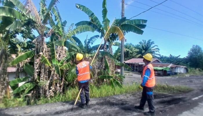 Hadapi Cuaca Ekstrem, PLN UP3 Bengkulu Perkuat Keandalan Jaringan Listrik Melalui Pemeliharaan Vegetasi