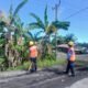 Hadapi Cuaca Ekstrem, PLN UP3 Bengkulu Perkuat Keandalan Jaringan Listrik Melalui Pemeliharaan Vegetasi