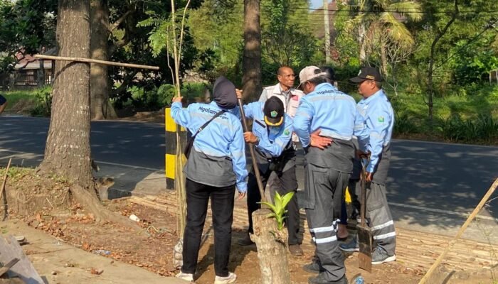DLH Kota Malang Pulihkan Penghijauan RTH Dengan Penanaman 100 Bibit Pohon