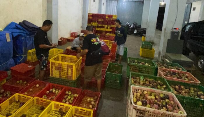 Cuaca Buruk Picu Penurunan Drastis Produksi Manggis di Purwakarta