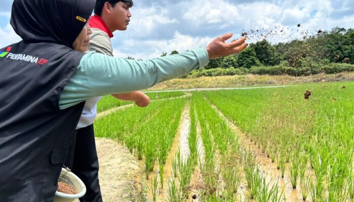 Dari Utang Pupuk ke Panen Naik 80%: Kisah Sutarni & KWT Rosela Dongkrak Kesejahteraan Lewat Pertanian Organik