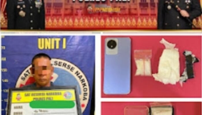 Undercover Buy Berhasil: Satres Narkoba Polres PALI Ringkus Pengedar Sabu 10,69 Gram di Abab