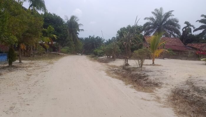Bertahun-tahun Menanti Listrik, Warga Reban Kumbang Bayung Lencir Berharap Kepastian