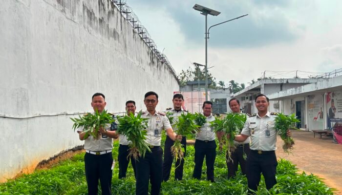 Rutan Kelas I Palembang Panen Kangkung Hingga Capai 72,2 Kilogram