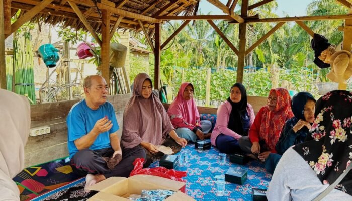 Manfaat Lahan 1200 Meter Persegi, Chaidir Berikan Cerita Inspiratif Tanam Melon Golden Alisha F1