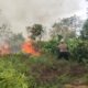 Sinergitas TNI Polri BPBD dan Warga Padamkan Karhutla di Kampung Mekarsari SP4 Bomberay