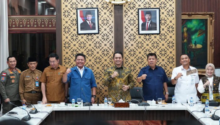 Herman Deru Dorong Satlinmas Punya Organisasi Nasional, Usulkan Deklarasi Perdana Digelar di Sumsel