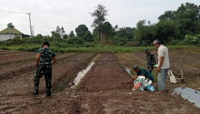 Warga Sambut Gembira Pemanfaatan Lahan Pertanian TMMD ke-129