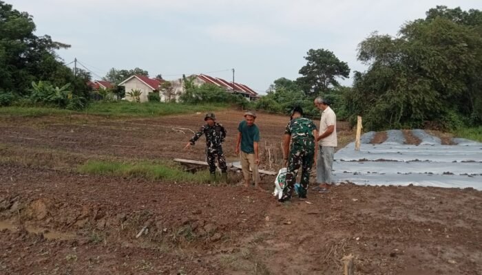 Lahan Kosong Disulap Lahan Produktif Warga Talang Jambe