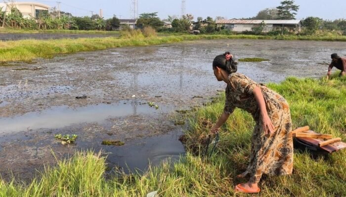 Darurat Air Bersih di Purwakarta: Warga Batutumpang Terpaksa Gunakan Air Kubangan Keruh