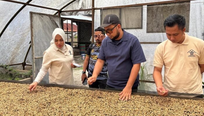 Kanwil Kemenkum Jambi Perkuat Pengawasan dan Branding Kopi Arabika Sumatera Koerintji