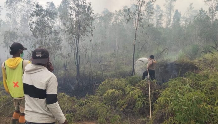 Polsek Bomberay Bergerak Cepat Padamkan Karhutla di Kampung Mekarsari Bomberay