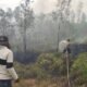 Polsek Bomberay Bergerak Cepat Padamkan Karhutla di Kampung Mekarsari Bomberay
