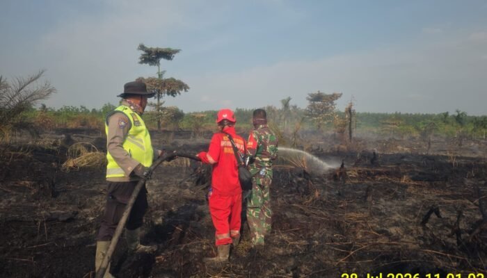 Kebakaran Lahan Gambut Muara Medak Meluas 20 Hektare, Tim Gabungan Muba Perkuat Pemadaman dan Pendinginan