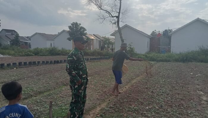 Satgas TMMD Ke-129 Kodim 0418/Palembang Bantu Warga Wujudkan Swasembada Pangan