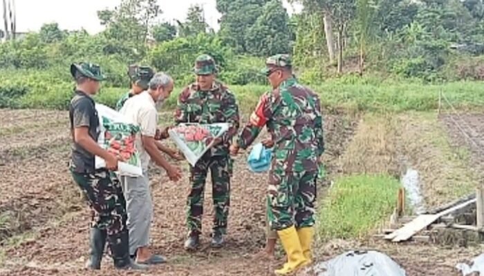 Dukung Program Presiden RI, Satgas TMMD Ke-129 Kodim 0418/Palembang Bagikan Bibit Sayuran dan Pupuk