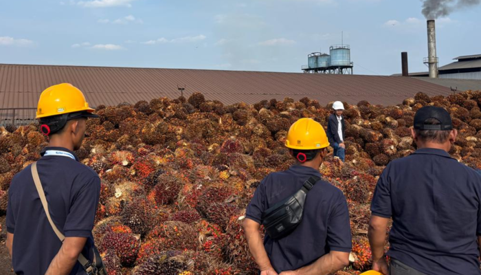 Pelatihan Jadi Investasi SDM, 111 Pekebun Sumsel Didorong Optimalkan Hasil Kebun