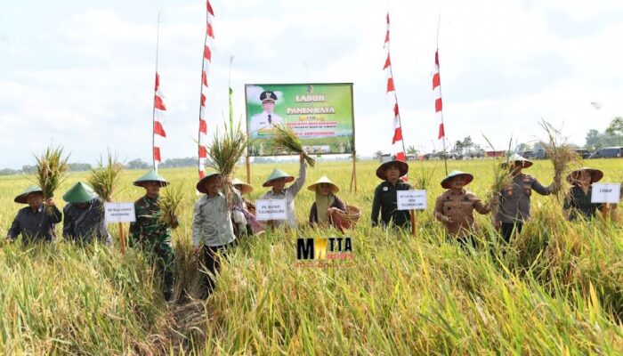 Kabupaten Tulungagung Tetap Swasembada Pangan, Produksi Padi Surplus untuk Dukung Daerah Lain
