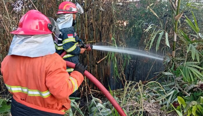 Kebakaran Lahan di Kuburan Sengkawang Jambi, Diduga Dipicu Pembakaran Sampah