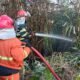 Kebakaran Lahan di Kuburan Sengkawang Jambi, Diduga Dipicu Pembakaran Sampah