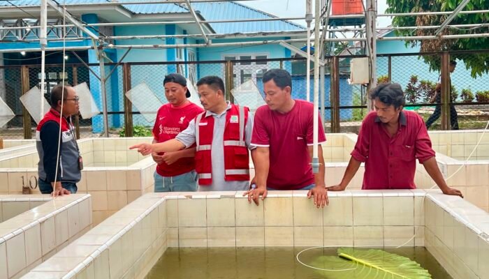 Pertamina Patra Niaga Regional Sumbagsel Bantu Pokdakan Lamperkas Tekan Biaya Produksi Lewat Pakan Ikan Mandiri